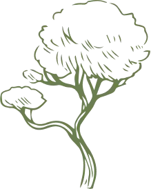 Home 32 arbre vert