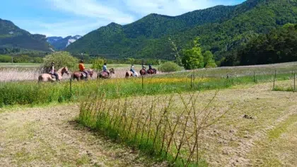 Milieuaanpak 7 20250524 152819