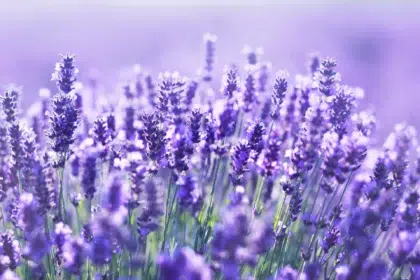 AdobeStock 167351986