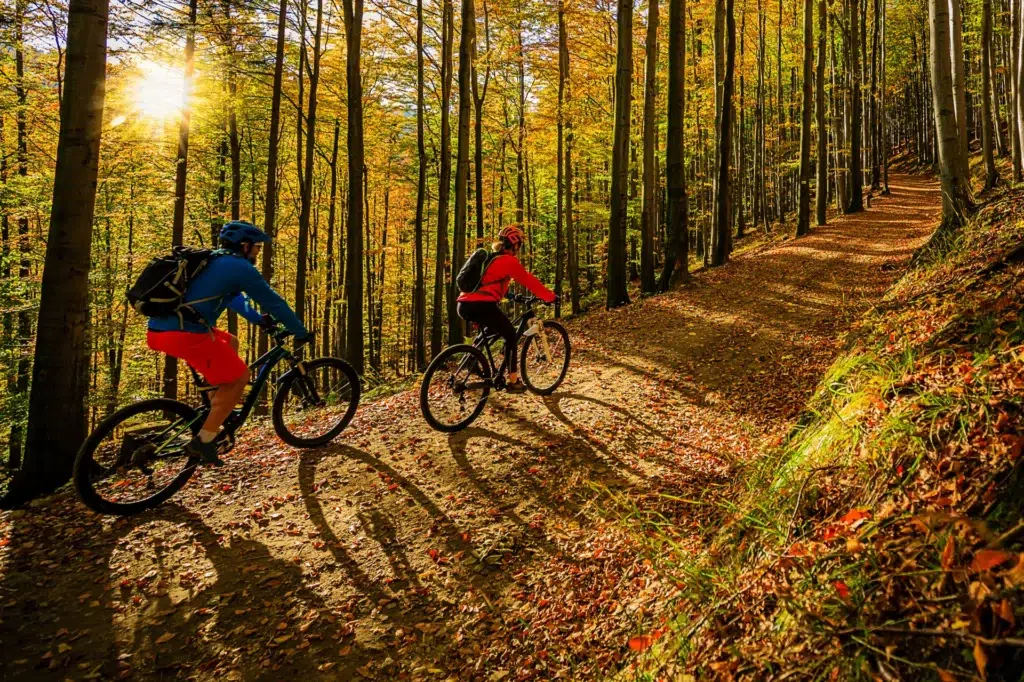 velo AdobeStock 217927485