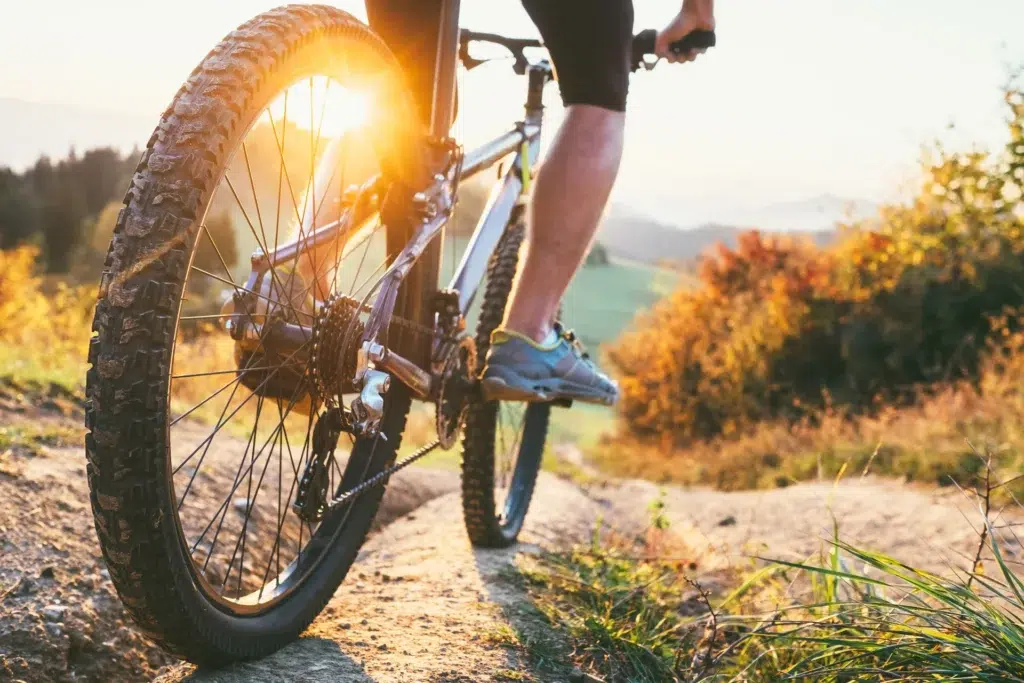 velo AdobeStock 229003517
