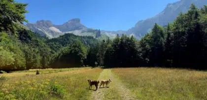 WhatsApp Image 2025 10 11 a 22.52.40 7604b39a