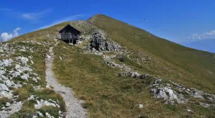 AdobeStock 218132486